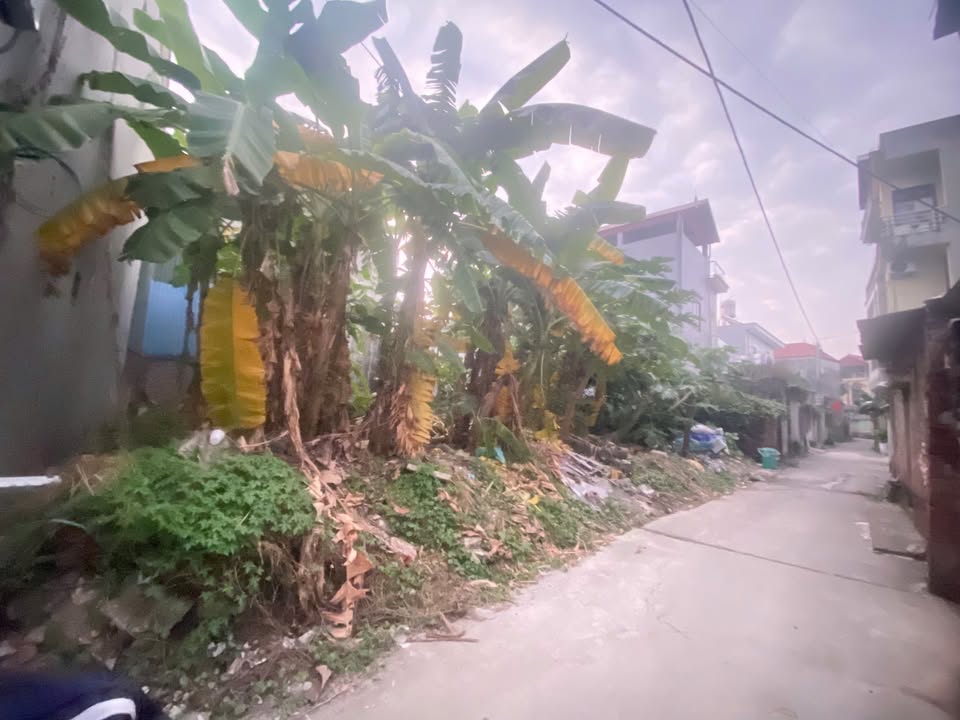 Đất thổ cư 60m² tại Thanh Xuân, Sóc Sơn - Cơ hội đầu tư hiếm có!