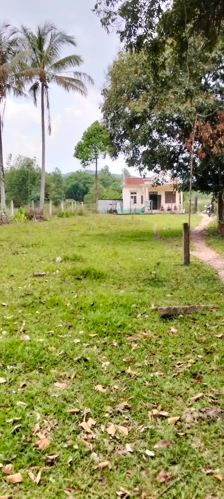 Đất nền A Lưới 220m² giá 350 triệu - Đầu tư sinh lời tuyệt vời!