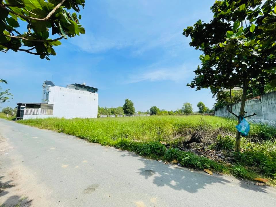 Đất nền 2606m² tại Đường 89 Cây Da, Củ Chi - Đầu tư sinh lời ngay!