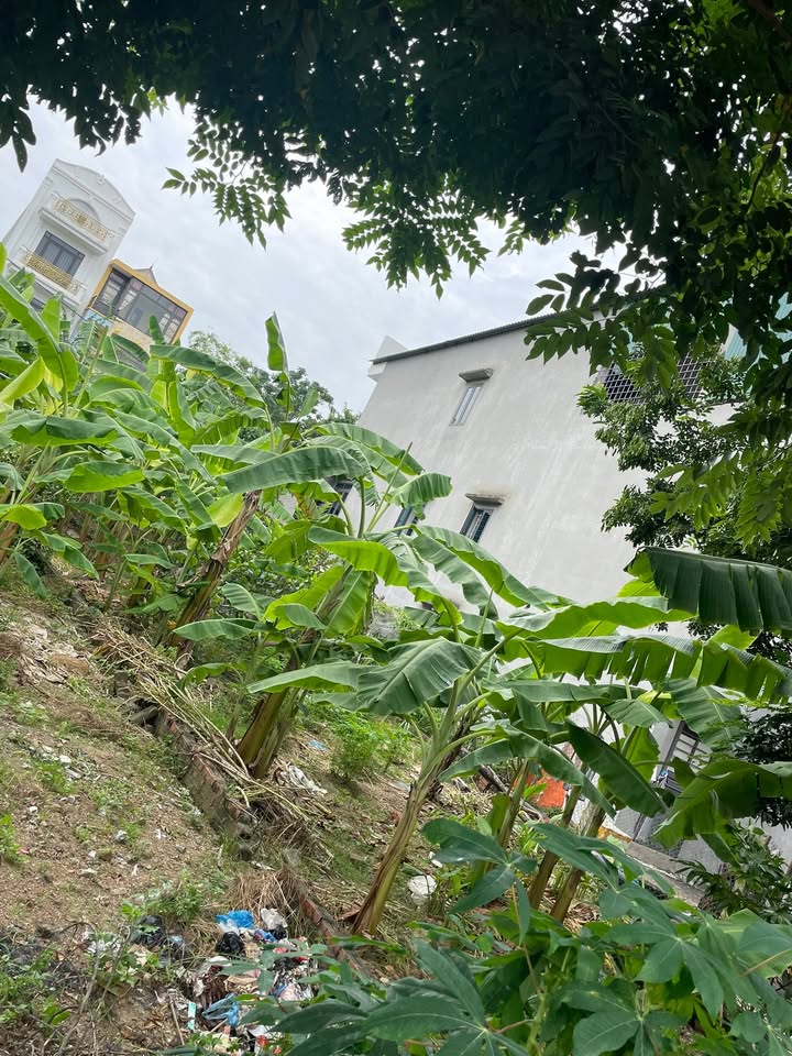 Đất nền Hợp Châu, Tam Đảo 120m² giá 1.5 tỷ - Đầu tư sinh lời ngay!