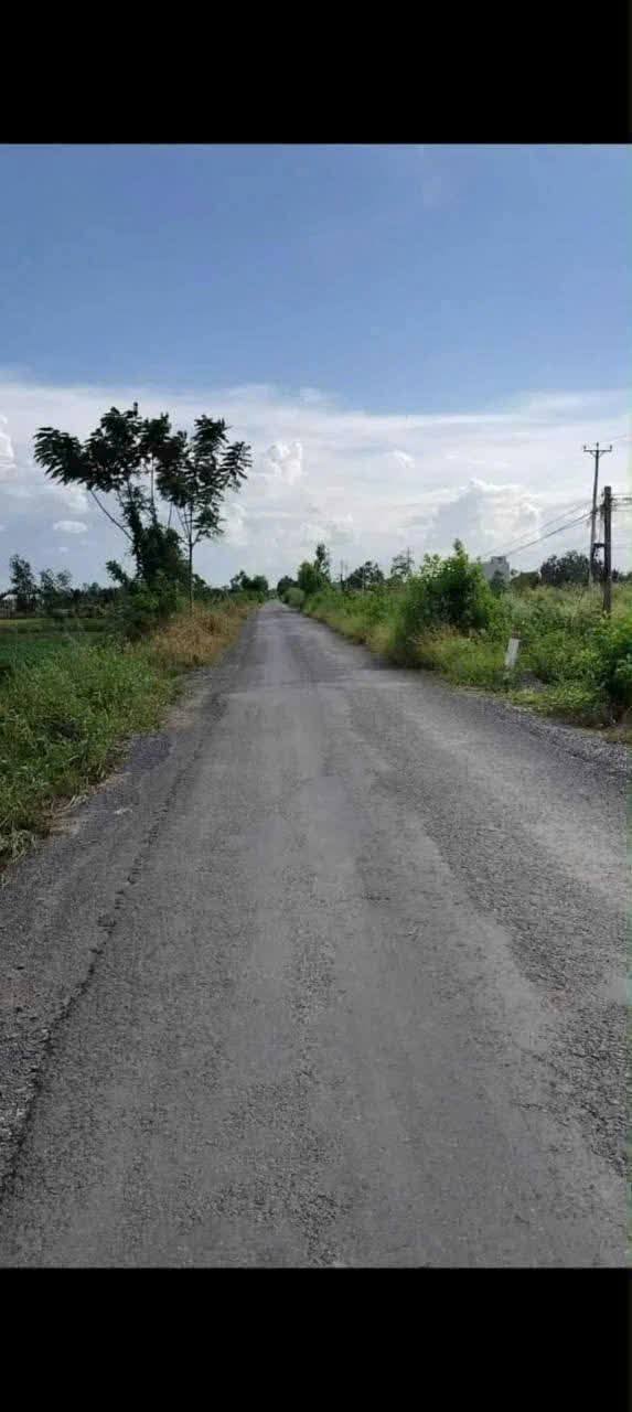 Đất thổ cư 1400m² tại xã Thuận Bình, huyện Thạnh Hóa, Long An - Mặt tiền đường nhựa, giá 16 tỷ!