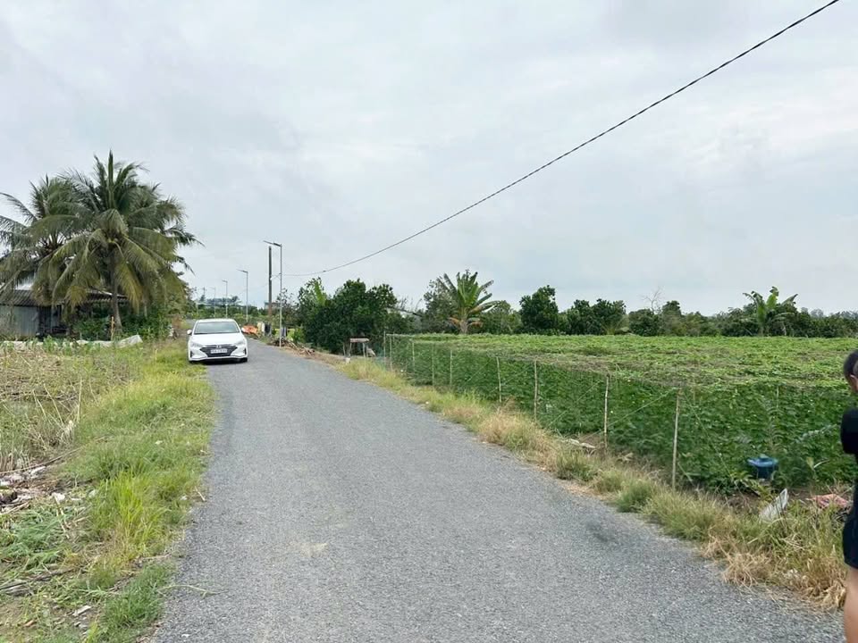 Đất Lúa Tân Thành 8.500m² giá 4 tỷ - Pháp lý sổ hồng chính chủ!