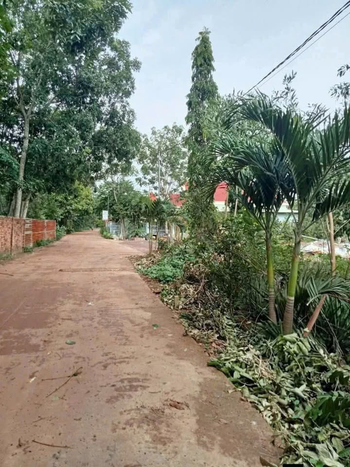 Đất thổ cư Tân Khai, Hớn Quản 1404m² giá 1.55 tỷ - Đầu tư sinh lời ngay!