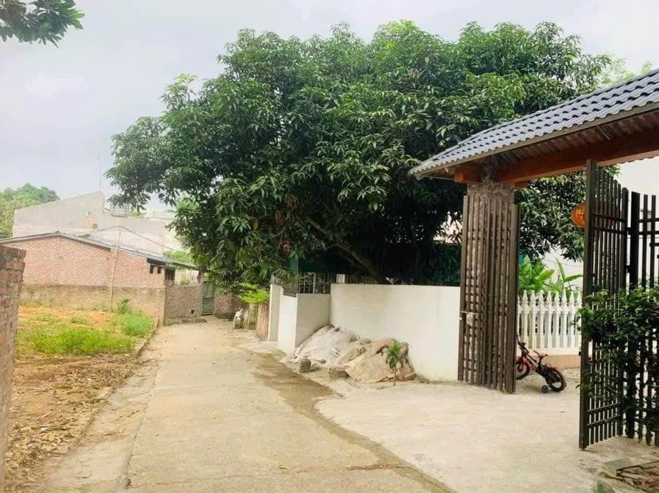 Đất nền Kim Đức Việt Trì 101m² giá 1 tỷ - Mặt tiền rộng, nở hậu lý tưởng!