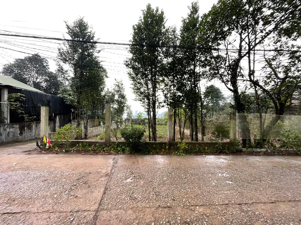 Đất nền mặt tiền Vũ Ngọc Phan, Thủy Xuân 207m² chỉ 1.695 tỷ - Lô góc hai mặt tiền!