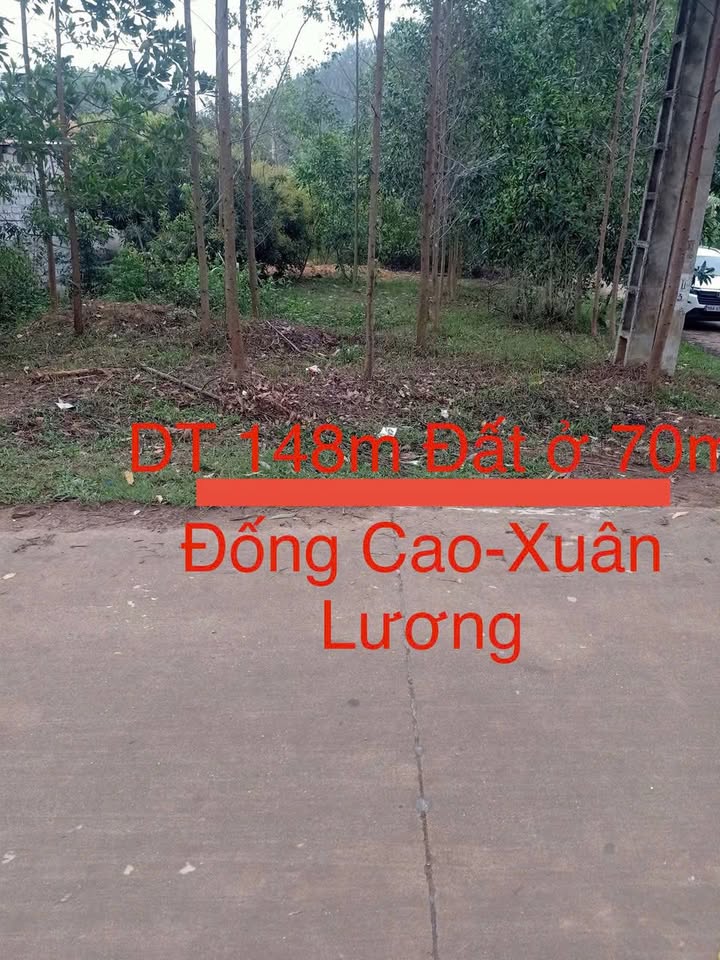 Đất 2 mặt tiền tại Canh Nậu, Yên Thế, Bắc Giang 148m² - Cơ hội đầu tư hấp dẫn!