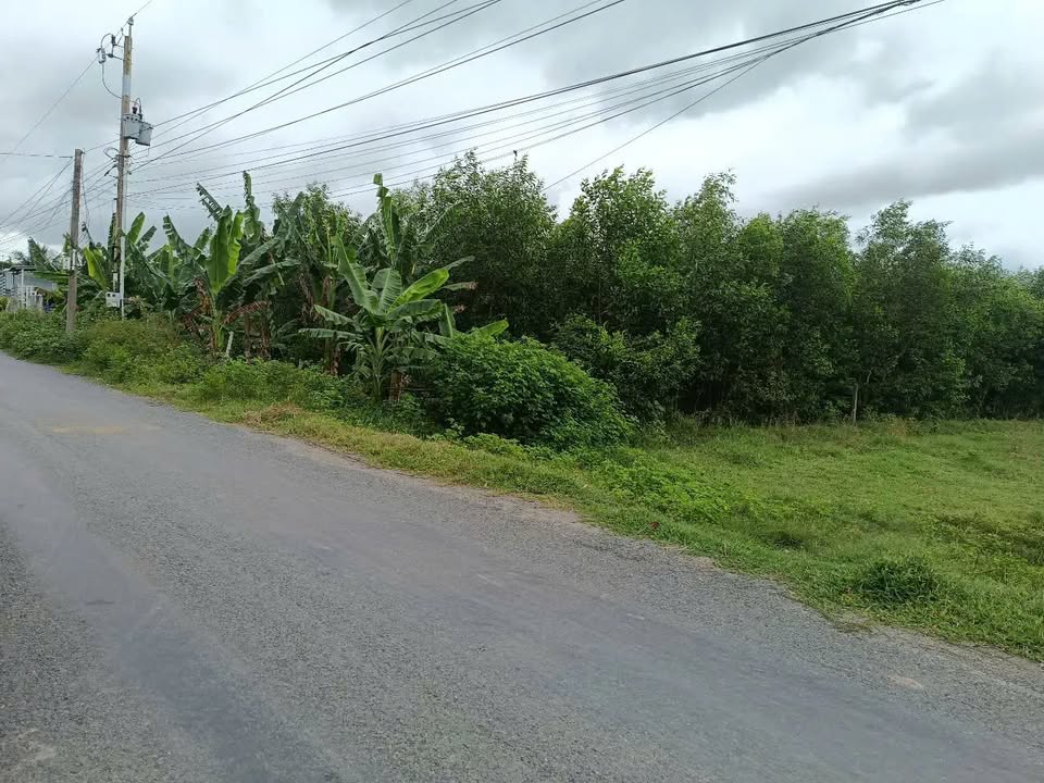 Đất nền Đức Huệ Long An 6080m² giá chỉ 80 triệu/m ngang - Sổ hồng chính chủ!