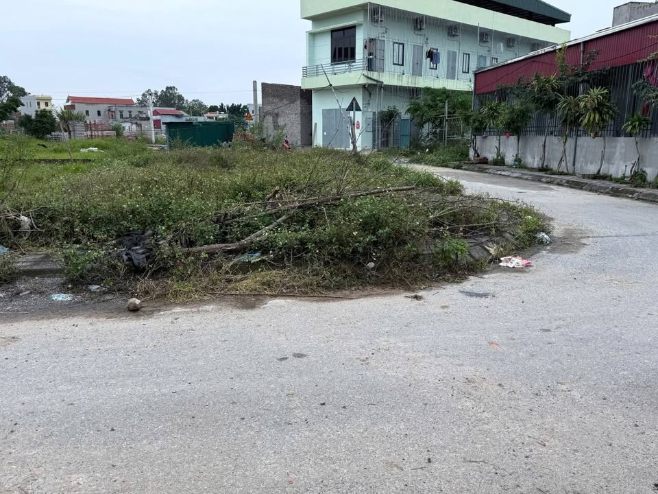 Đất nền Bạch Thượng Duy Tiên 117m² giá tốt - Tiềm năng đầu tư lớn!