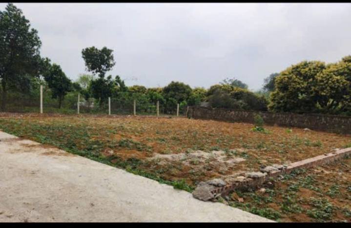 Đất thổ cư 100m² tại Cẩm Lĩnh, Ba Vì - Chỉ nhỉnh 1 tỷ, đầu tư sinh lời!