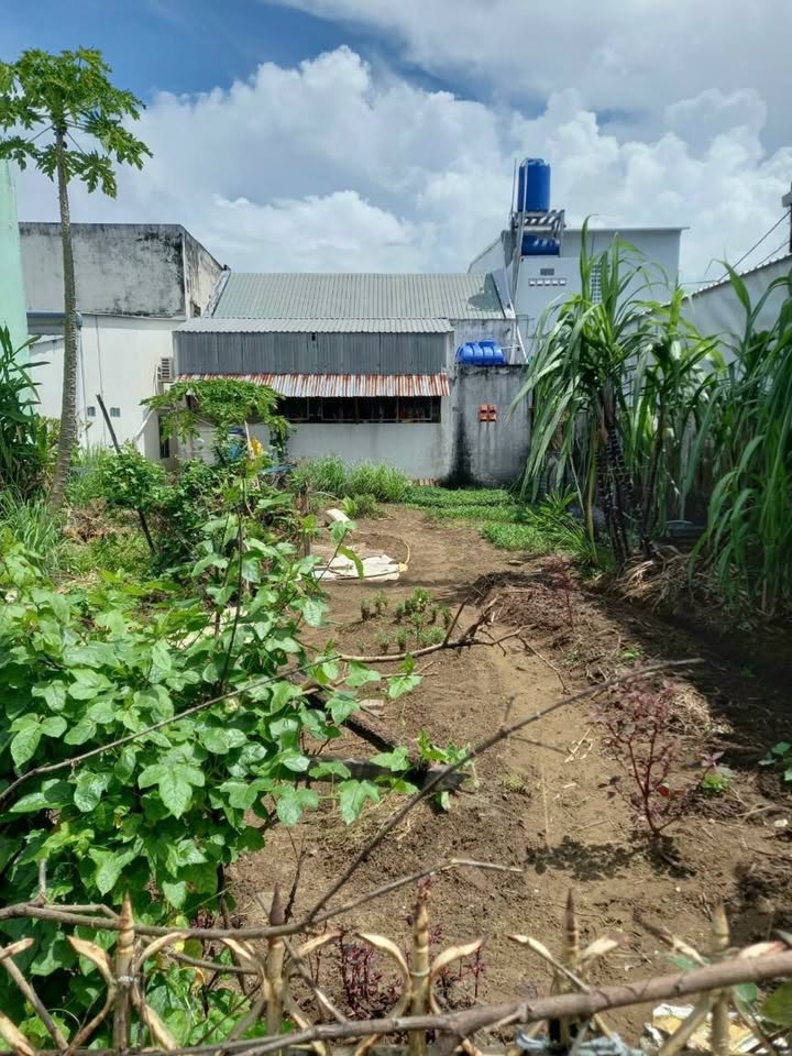 Đất hẻm 889 Nguyễn Trung Trực 136m² giá 950 triệu - Ô tô tới đất, điện nước đầy đủ