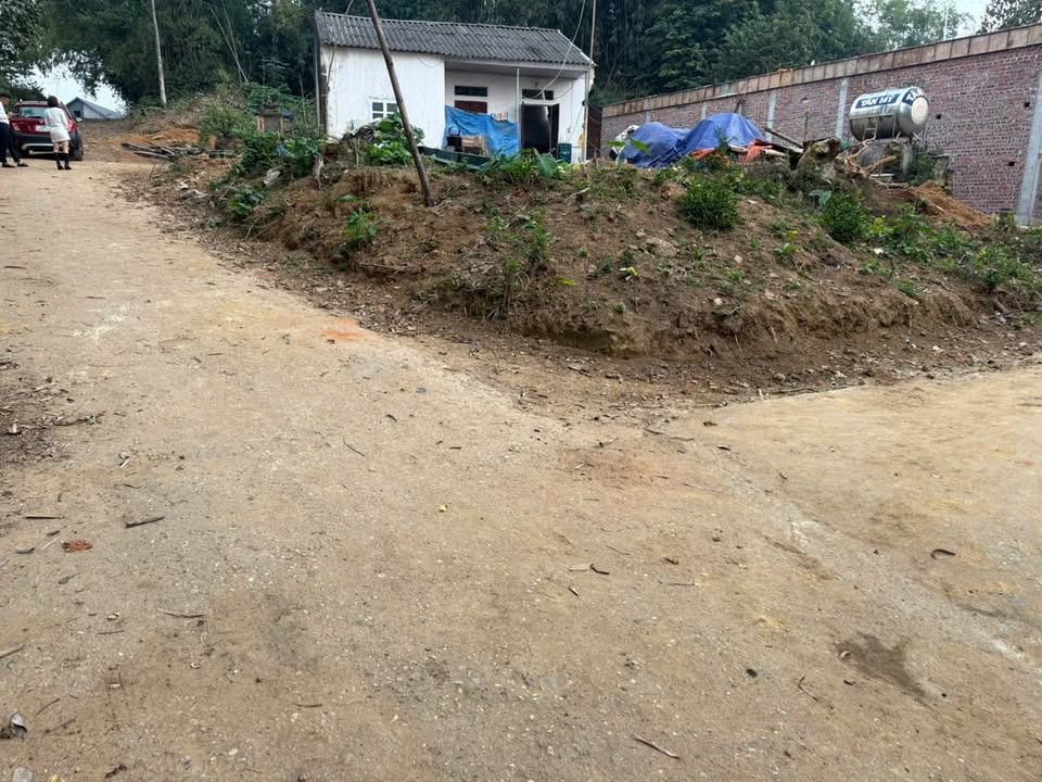 Đất nền Việt Trì 80m² giá 1.25 tỷ - Vị trí đắc địa trung tâm