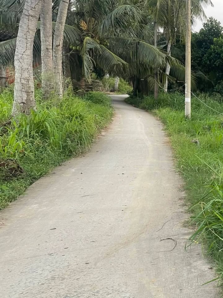 Đất nền An Hiệp, Ba Tri 2600m² giá 1 tỷ - Cơ hội đầu tư hấp dẫn!