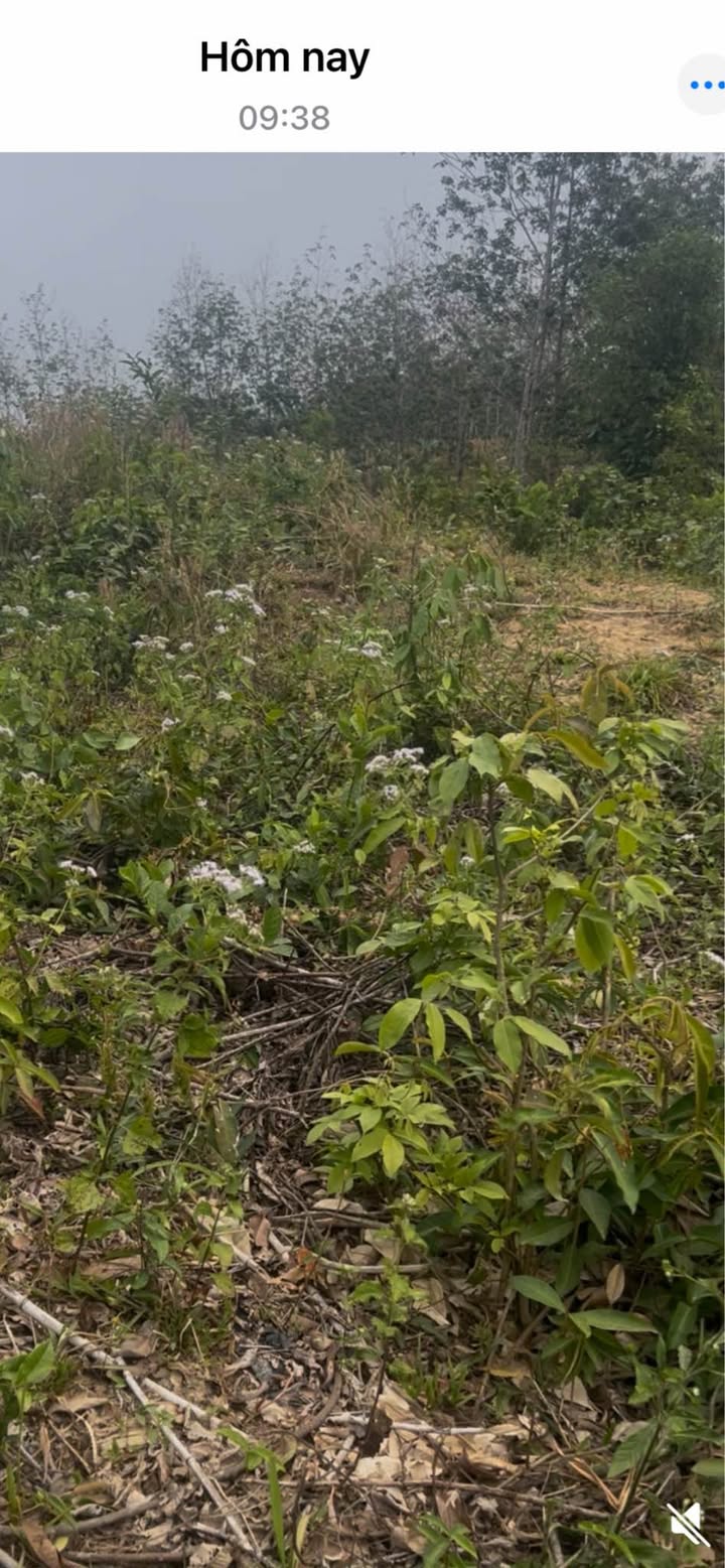 Đất trống Đăk BLa Kon Tum 1944m² - Sổ hồng chính chủ, bán gấp!