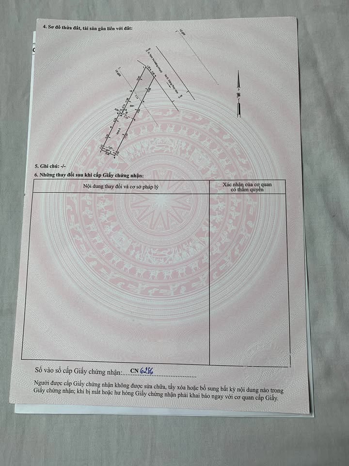 Nhà cấp 4 mặt tiền đường Trịnh Thị Miếng Hóc Môn 315m² giá 14.5 tỷ - Thương lượng ngay!