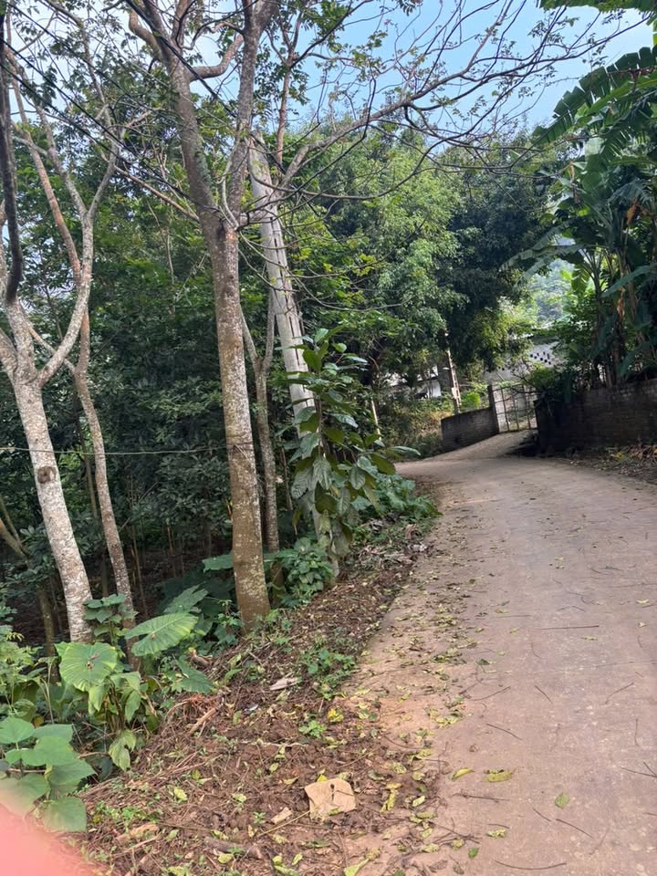 Đất nhà vườn thôn 9, Ba Trại, Ba Vì 887,6m² - Cơ hội đầu tư tuyệt vời!