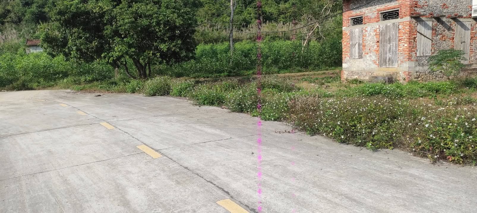 Đất thổ cư Thạch Bình, Nho Quan 997m² giá 1.7 tỷ - Đầu tư sinh lời ngay!