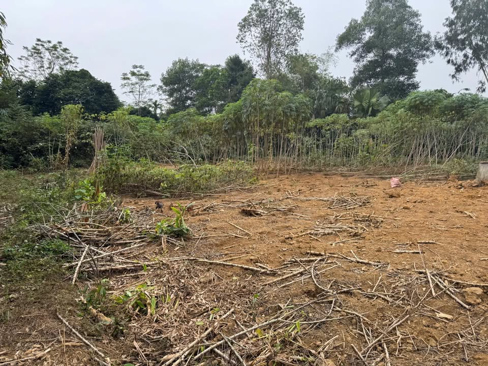 Đất vườn Kim Đức, Việt Trì 560m² giá 4.536 tỷ - Tiềm năng tăng giá rõ rệt!