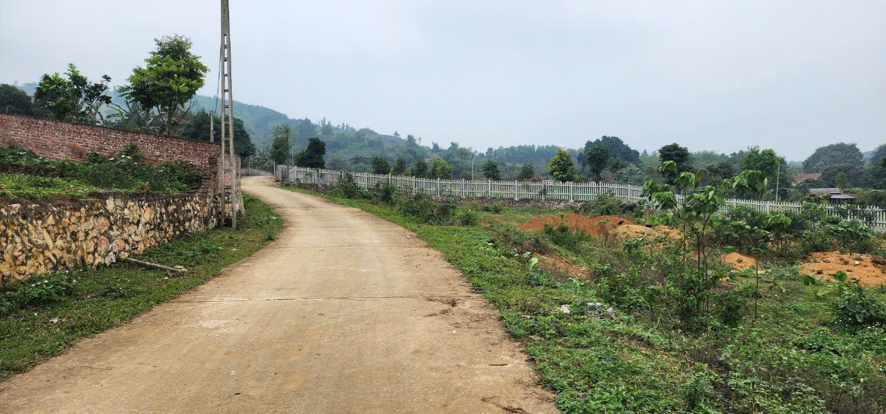 Đất nghỉ dưỡng Đông Xuân Quốc Oai 462m² - View cao thoáng lý tưởng!