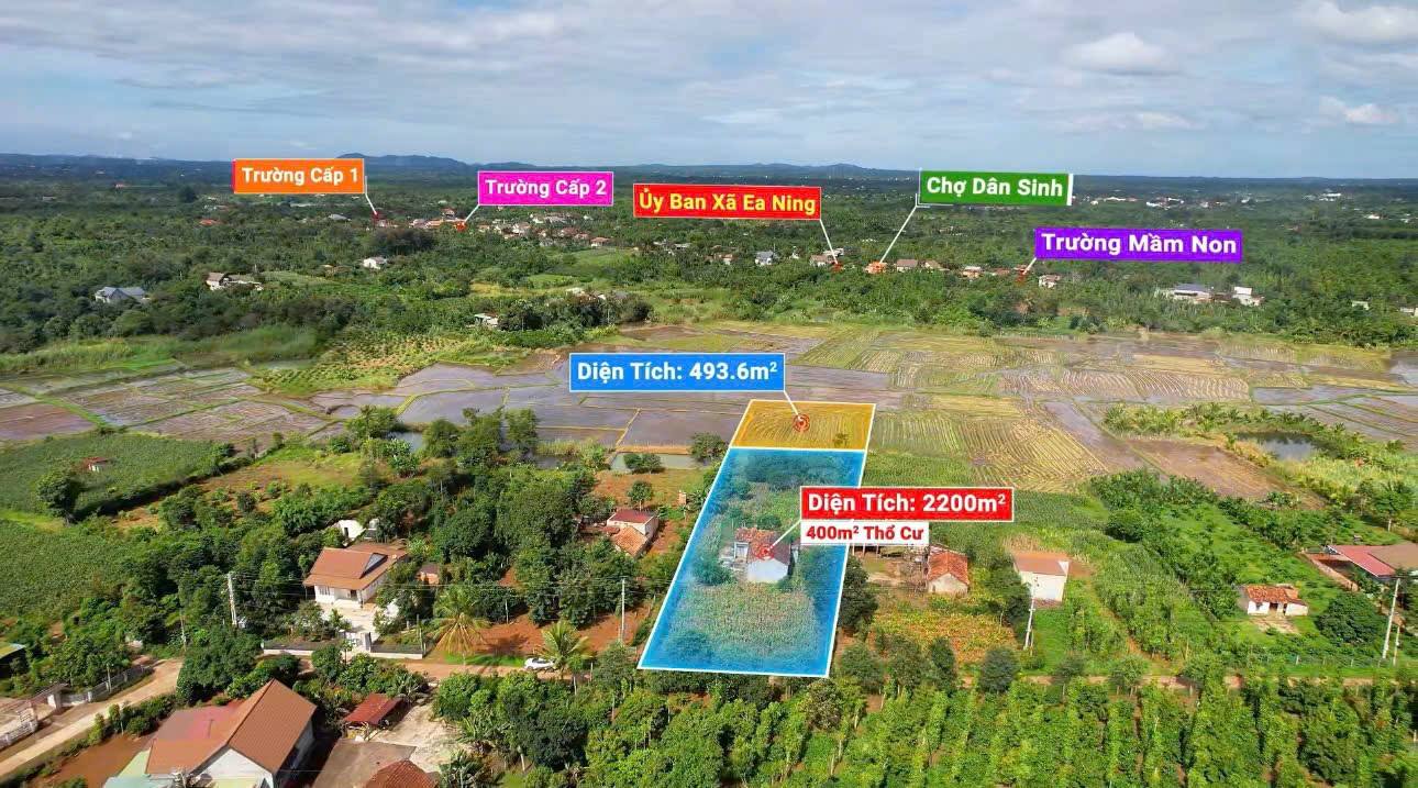Đất 2,7 sào tại Ea Ning, Cư Kuin - Giá 1.45 tỷ - View cánh đồng tuyệt đẹp!