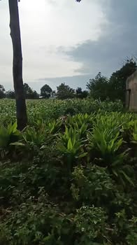 Đất nền đường Lê Hồng Phong, Ea Kar, 120m² giá chỉ 6xx triệu - Cơ hội đầu tư tuyệt vời!