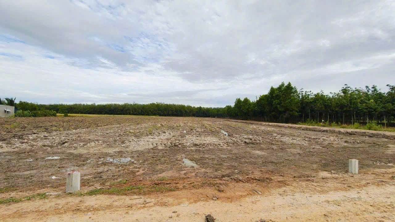 Đất nền ấp Nam Bến Sỏi, xã Thành Long, 1015m² giá chỉ 175 triệu - Cơ hội đầu tư tuyệt vời!