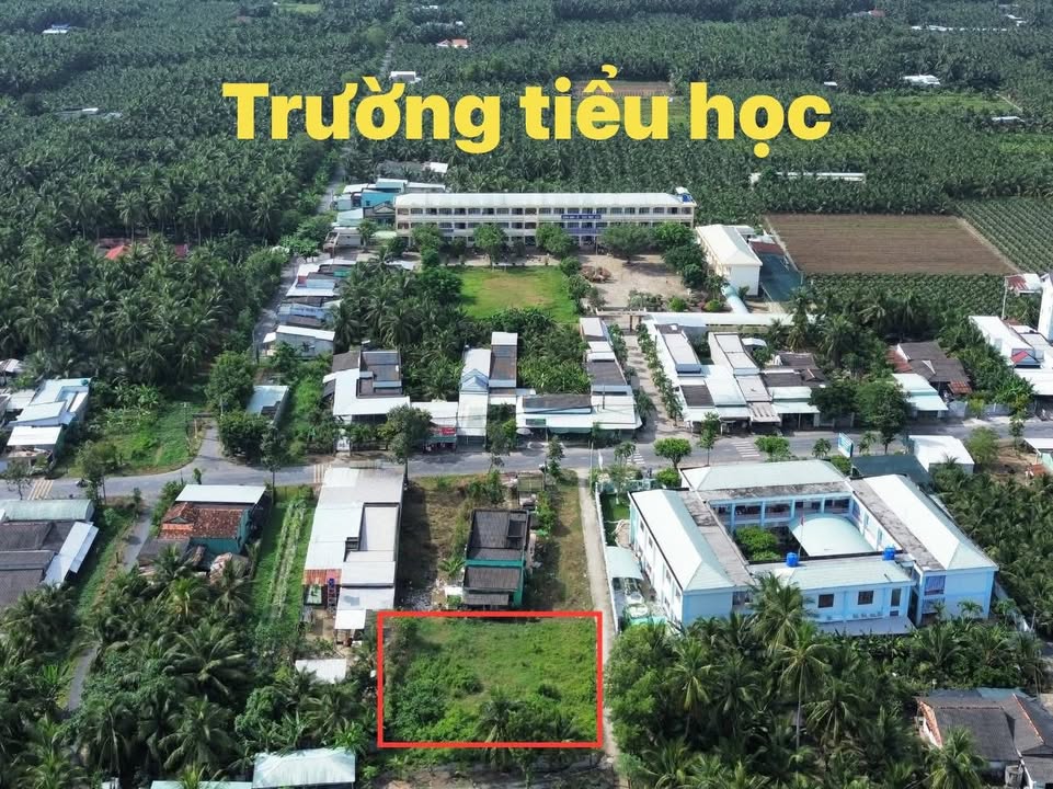 Đất nền 1838m² tại Ấp Hoà Lợi Tiểu, Chợ Gạo - Giá chỉ 450 triệu, thương lượng!