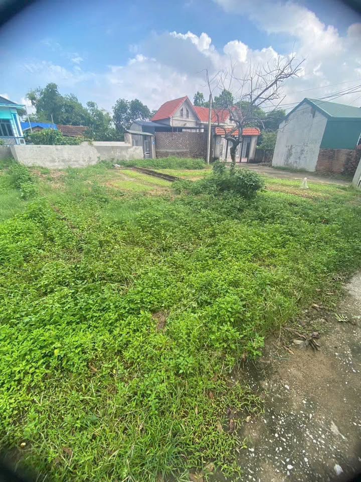 Đất thổ cư Thôn Thắng Trí, Minh Trí, Sóc Sơn 59.5m² giá 1.5 tỷ - Sổ đỏ chính chủ, đầu tư lý tưởng!