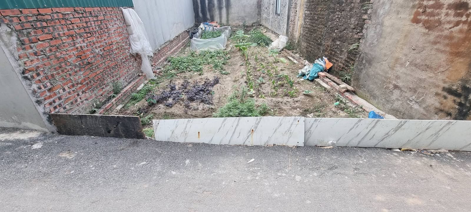 Đất nền Dục Tú, Đông Anh 61m² giá 5 tỷ - Đầu tư lý tưởng với sổ đỏ giao ngay!