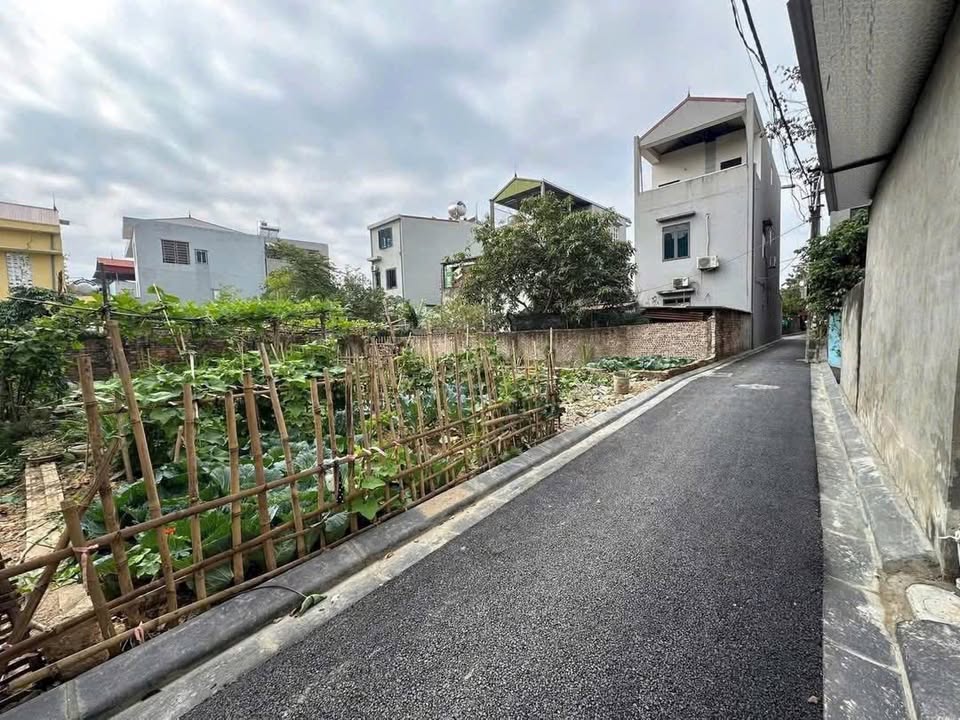 Đất nền Nghĩa Lại Uy Nỗ Đông Anh 59,5m² - Đầu tư sinh lời tốt!