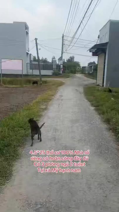 Nhà riêng Đức Hòa Long An 112m² giá 2.1 tỷ - Chính chủ bán gấp!