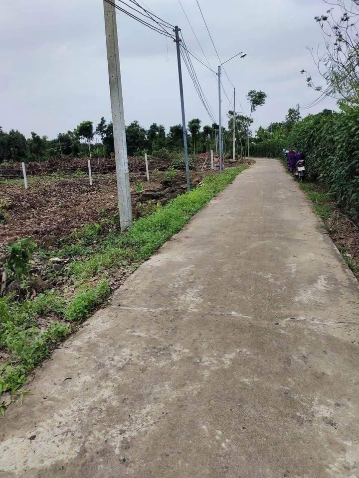 Đất nền Phú Tân 1040m² giá 550 triệu - Vị trí đắc địa, sổ hồng chính chủ!