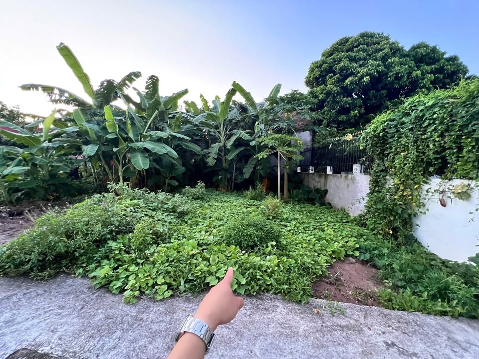 Đất nền Kim An Thanh Oai 77,6m² giá chỉ 2 triệu/m² - Đầu tư sinh lời!