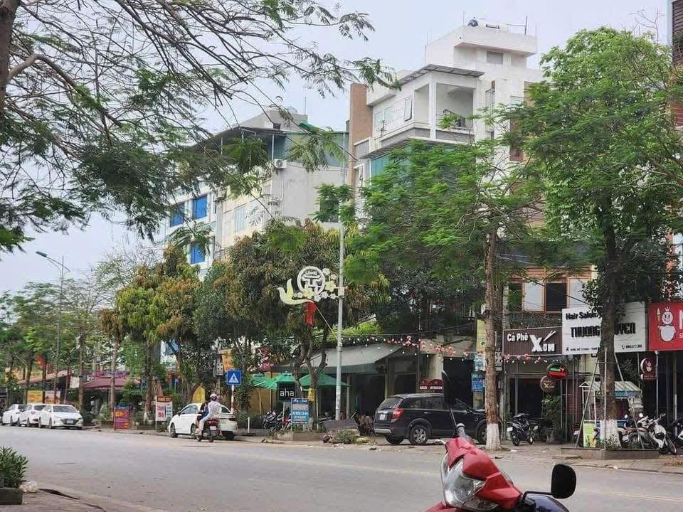 Đất Ngũ Hiệp Thanh Trì 100m² giá 20 tỷ - Lô góc vị trí đắc địa kinh doanh