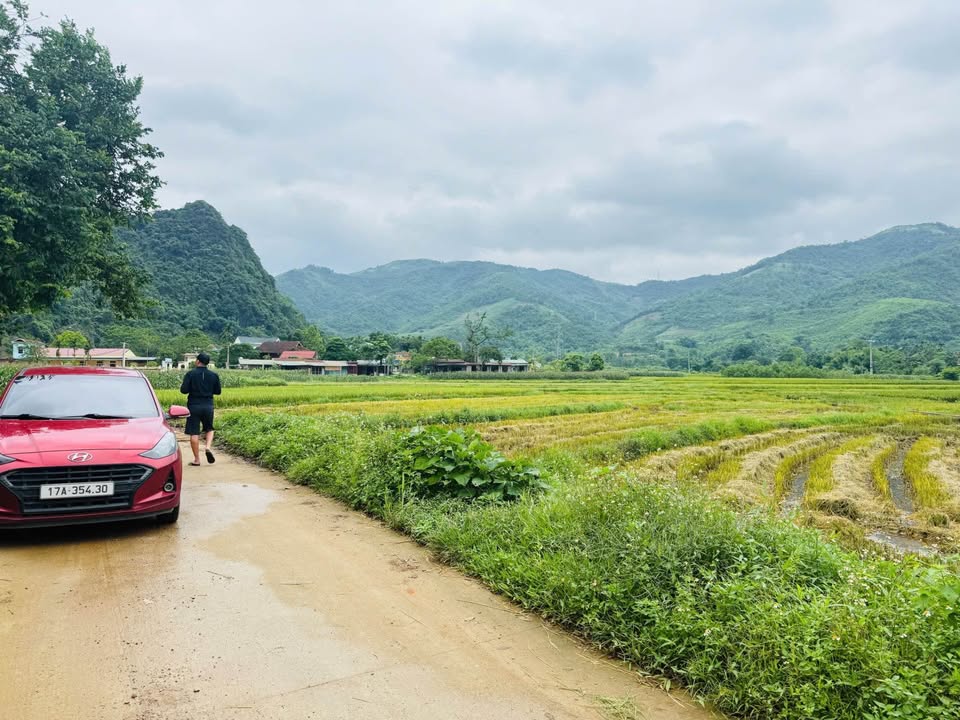 Đất thổ cư Cao Dương Lương Sơn 100m² giá 500 triệu - Cơ hội đầu tư tuyệt vời!