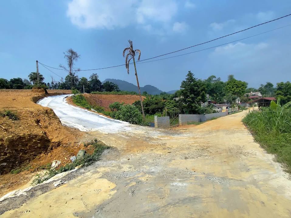 Đất nền Xuân Viên Yên Lập 200m² giá từ 100 triệu - Sổ hồng chính chủ ngay tay!