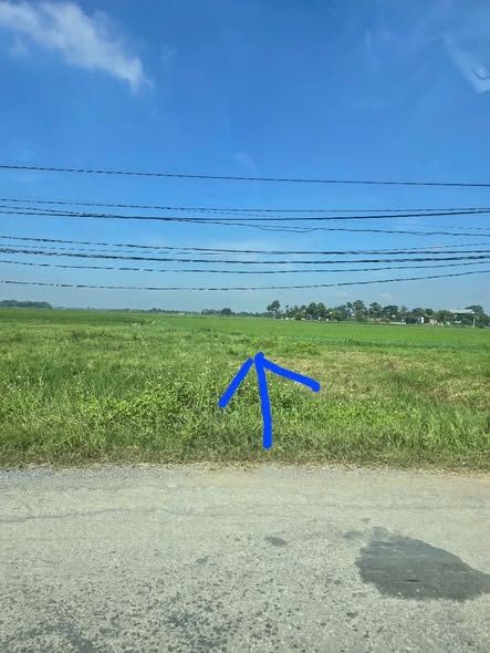 Đất nền chính chủ Thiệu Ngọc 200m² giá 3.2 tỷ - Đầu tư lâu dài!