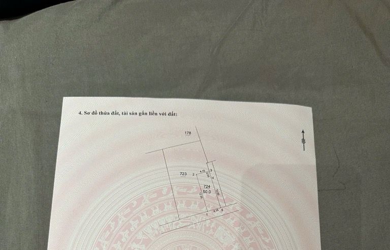 Đất lô góc Thượng Thanh Long Biên 50m² giá 8 tỷ - Đường ô tô vào tận nơi!