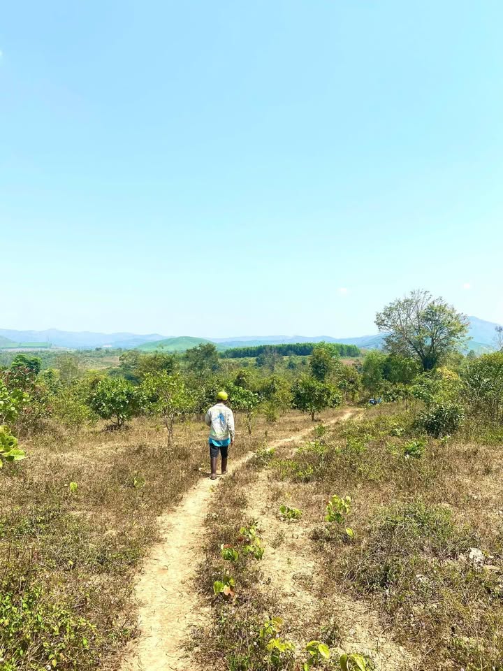 Đất nền Cư Pui 4500m² giá chỉ 2xx triệu - Cơ hội đầu tư tuyệt vời!