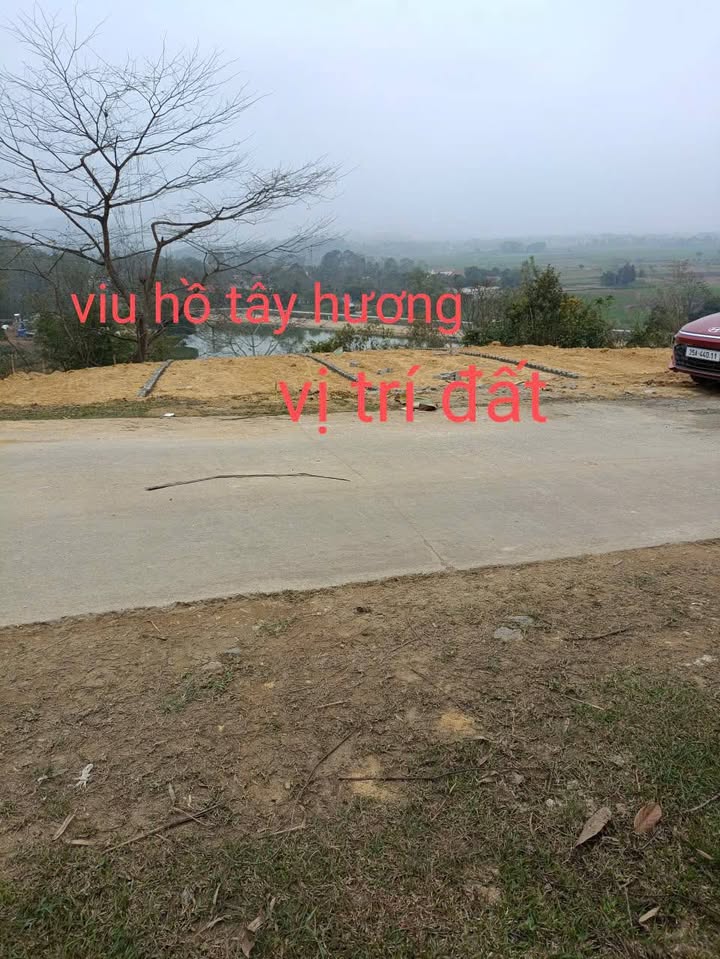 Đất nền Thạch Thành, Thanh Hóa 100m² giá 115 triệu - View hồ cực đẹp!