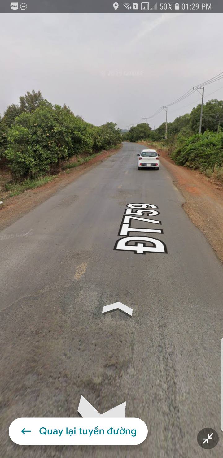 Đất farm mặt đường lớn tại Phước Tân, Phú Riềng 12.213m² - Tiềm năng đầu tư hấp dẫn!