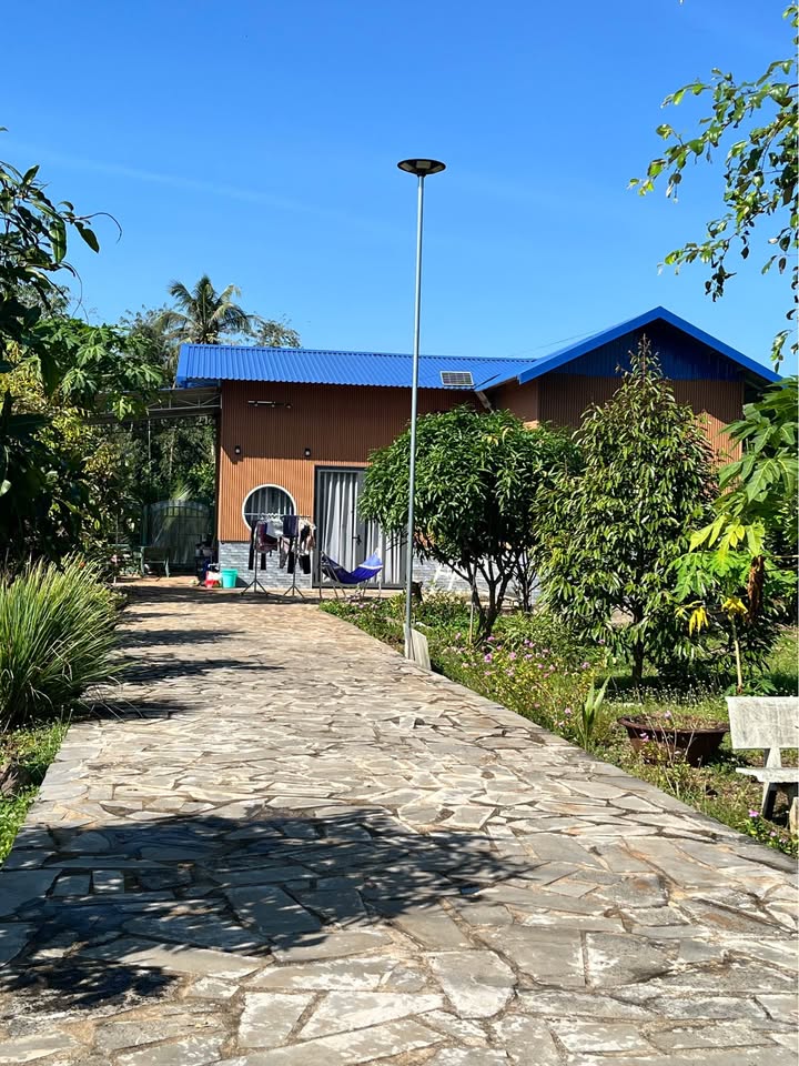 Đất Bảo Vinh Đồng Nai 1300m² giá 6.5 tỷ - Vườn cây trái chín mọng, sẵn sàng đầu tư!