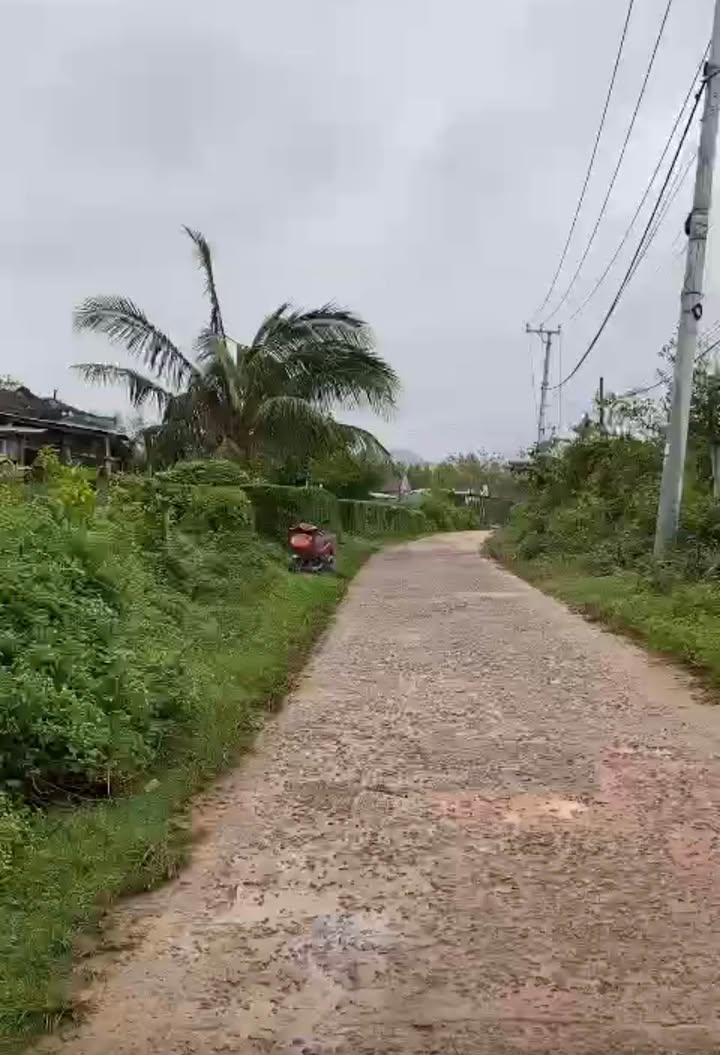 Đất thổ cư 130m² tại Vân Canh, Bình Định - Giá chỉ 1.09 tỷ - Đầu tư sinh lời cao!