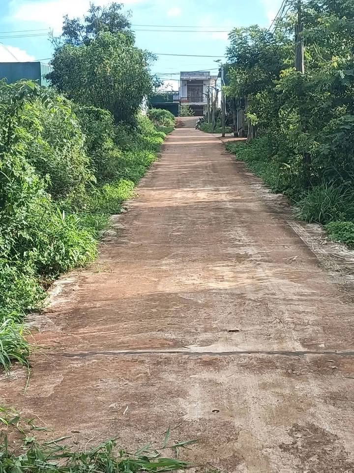 Đất nền thổ cư 1500m² tại Ea Ral, Đắk Lắk giá 2.4 tỷ - Đầu tư sinh lời ngay!