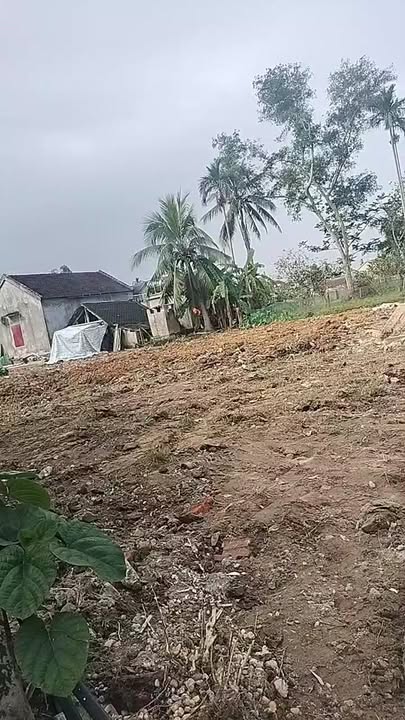 Đất nền Trung Sơn, Đô Lương 184m² giá 600 triệu - Cơ hội đầu tư hấp dẫn!