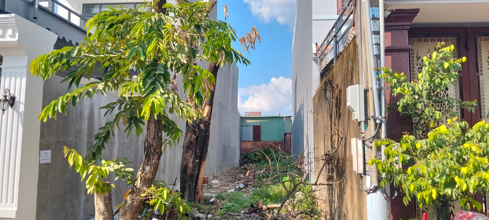 Đất Khu Phố 11A Tân Phong 160m² giá 1.45 tỷ - Đầu tư sinh lời ngay!