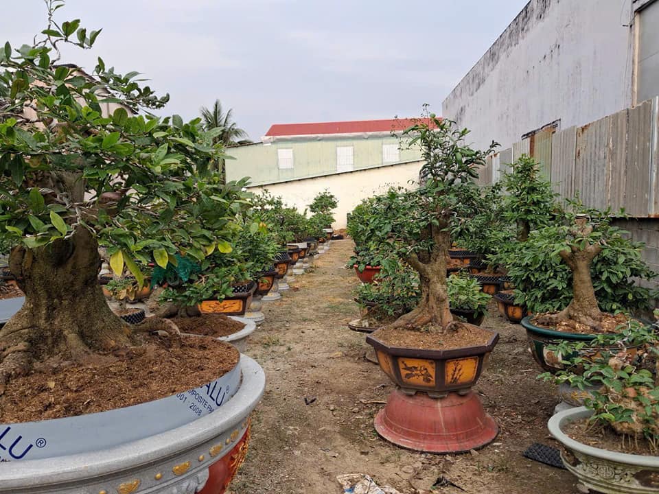 Bán đất mặt tiền đường Quang Trung Rạch Giá 297m² giá 6 tỷ - Vị trí vàng đắc địa!