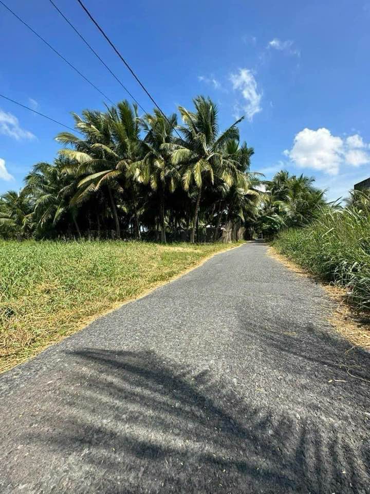 Đất thổ cư Gò Công Tây 1.327m² - Mặt tiền đường nhựa 4m, giá chỉ 1 tỷ!