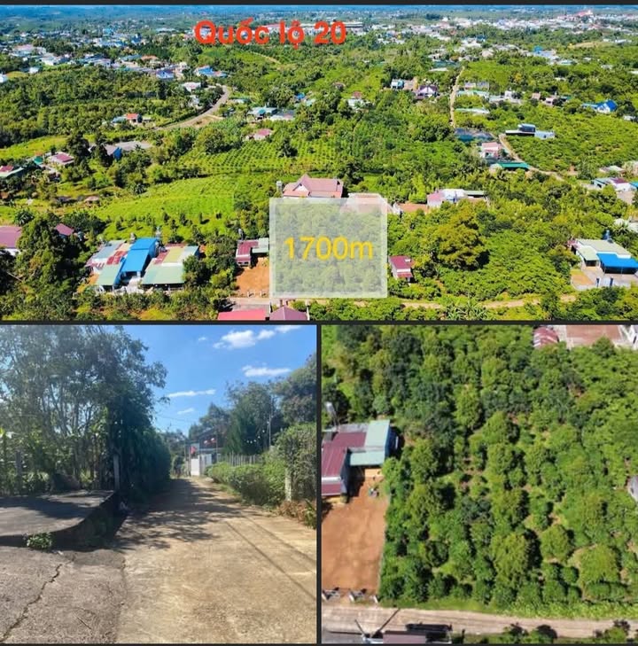 Đất nghỉ dưỡng Lộc An Bảo Lâm 1700m² giá 2.8 tỷ - Đầu tư sinh lời ngay!