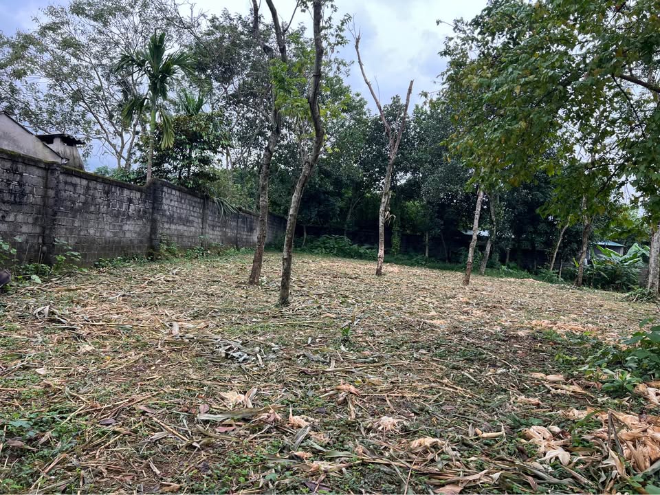 Đất nghỉ dưỡng Cư Yên Lương Sơn 1300m² giá siêu rẻ - Cơ hội đầu tư tuyệt vời!