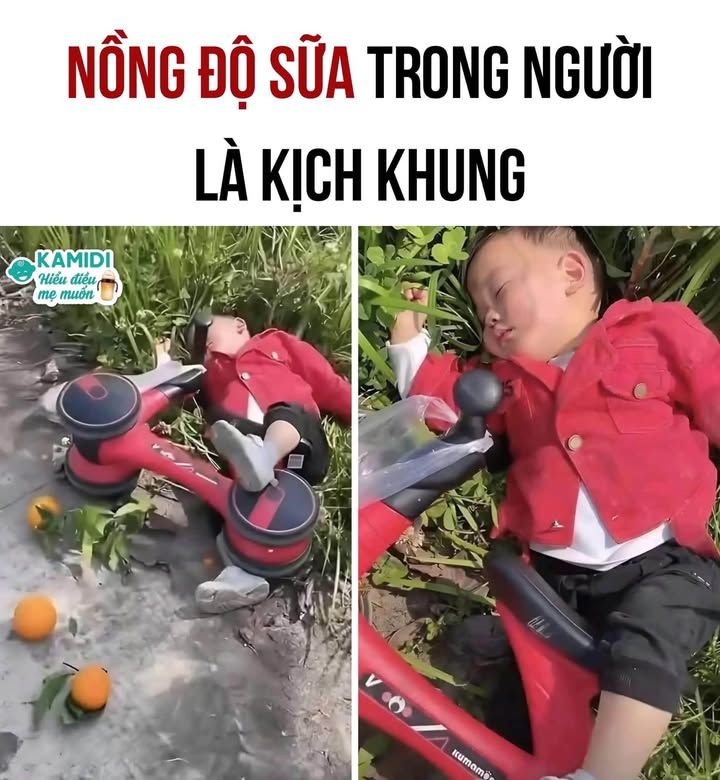 Đất chính chủ Quận 6, Phú Lâm 43m² giá 3.95 tỷ - Phù hợp xây nhà mới!